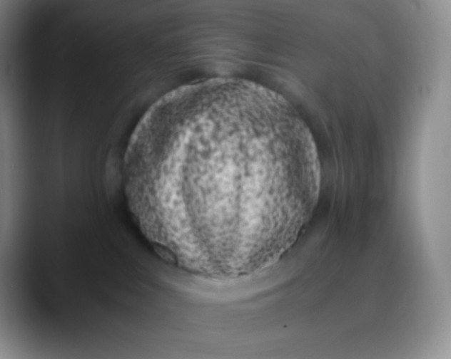 X0000089870043200707191946