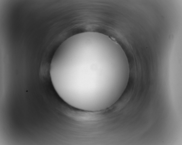 X0000089870044200707191946