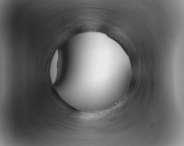 X0000089870045200707191946