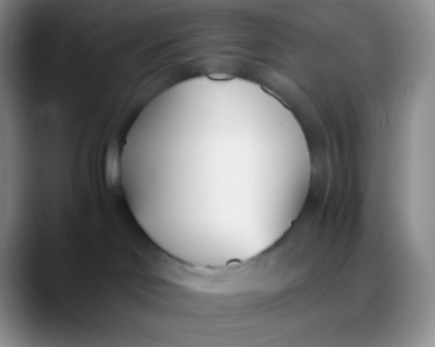 X0000089870046200707191946