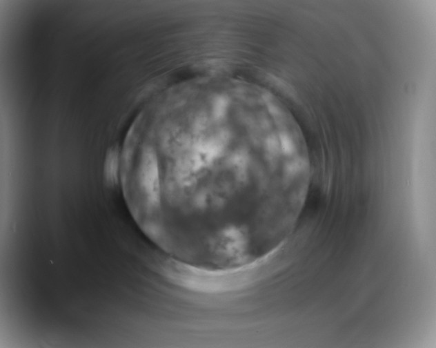 X0000089870047200707191946