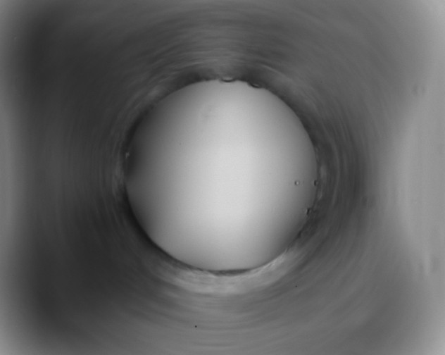 X0000089870048200707191946