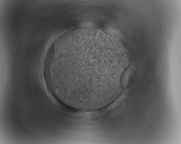 X0000089870049200707191945