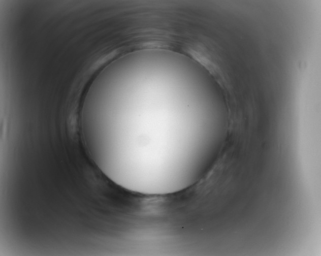 X0000089870050200707191945