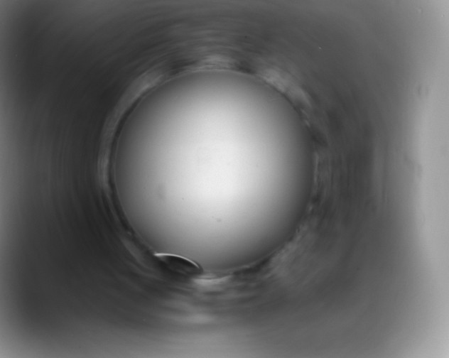 X0000089870051200707191945