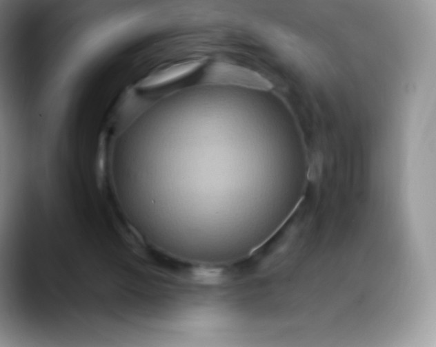 X0000089870052200707191945