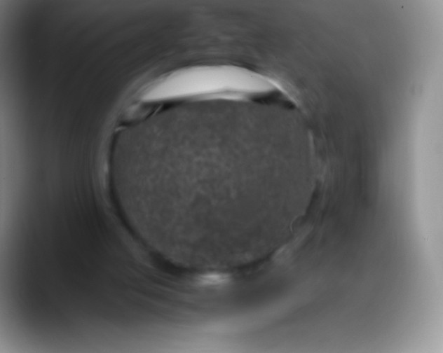 X0000089870053200707191945