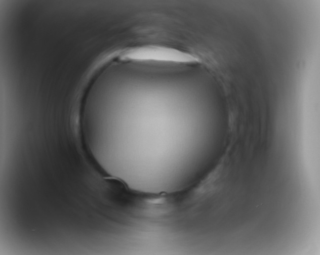 X0000089870054200707191945