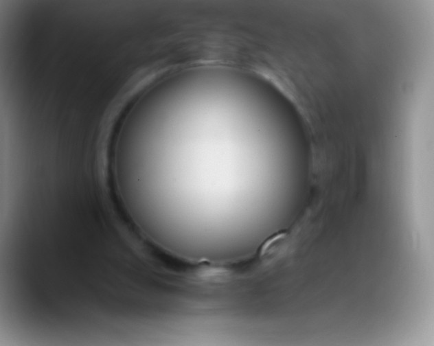 X0000089870055200707191946