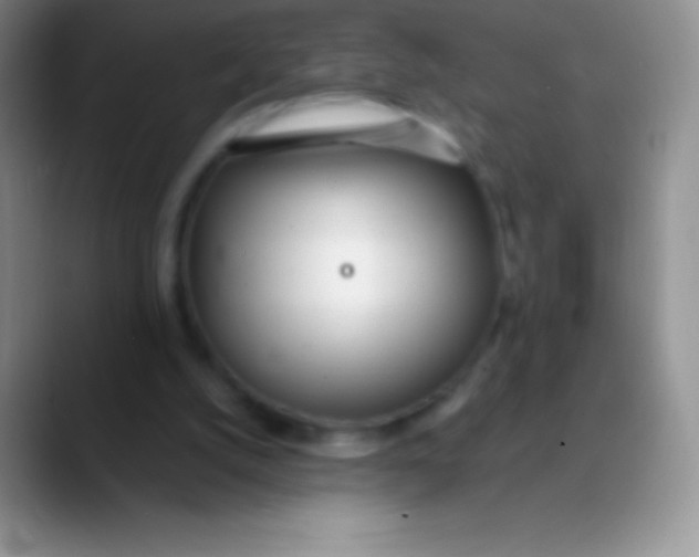 X0000089870056200707191946