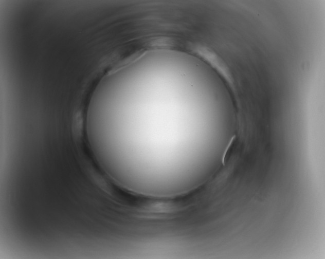 X0000089870057200707191946