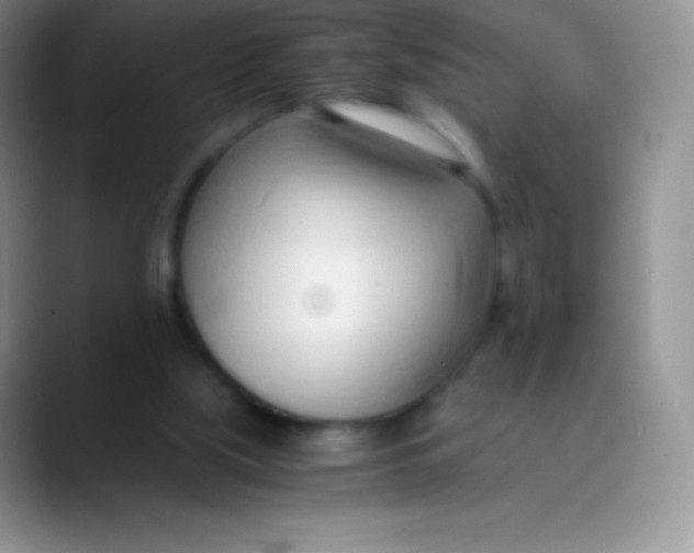 X0000089870059200707191946