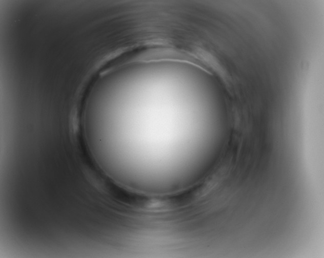 X0000089870060200707191946