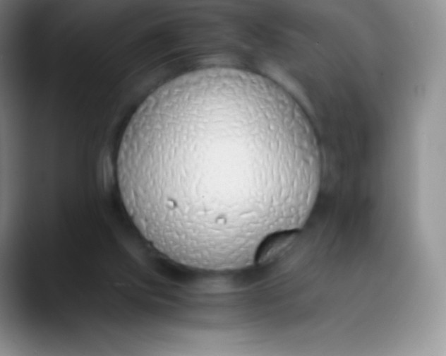 X0000089870061200707191946