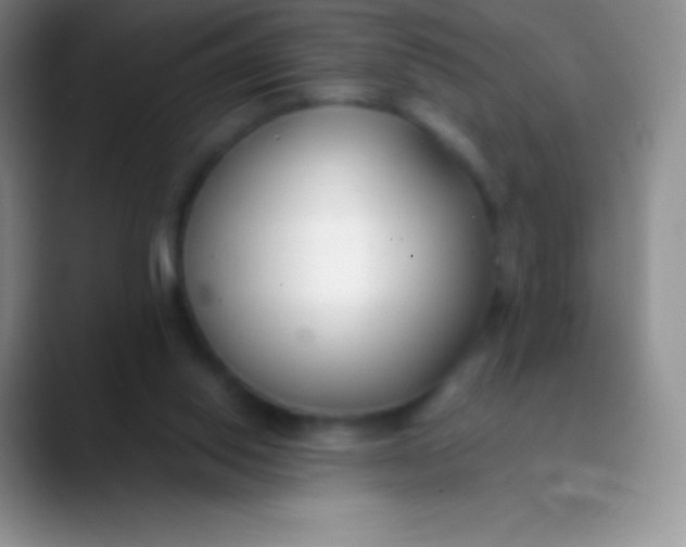 X0000089870062200707191946