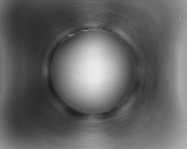 X0000089870064200707191946