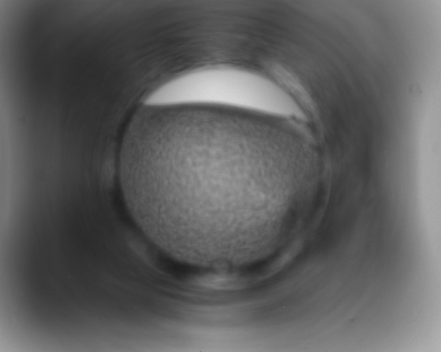 X0000089870065200707191946