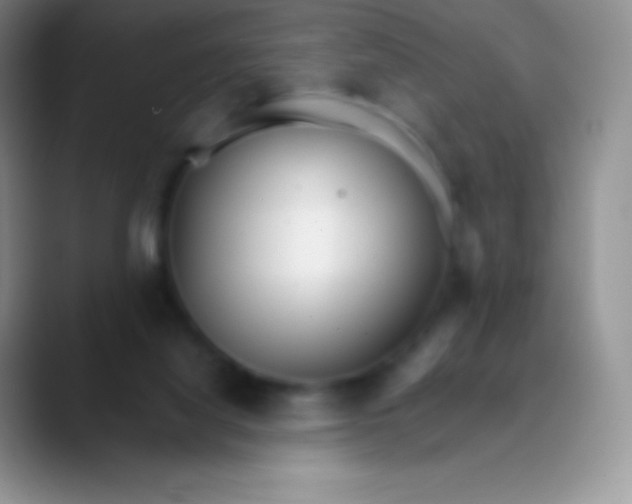 X0000089870068200707191946