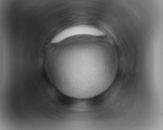 X0000089870073200707191946