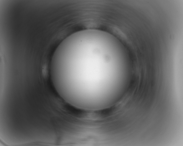 X0000089870074200707191946