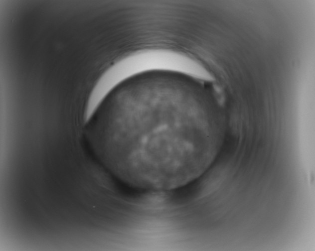 X0000089870076200707191946