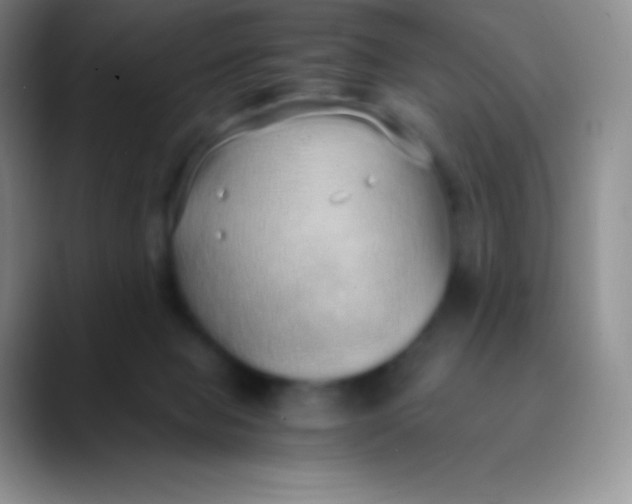 X0000089870077200707191946