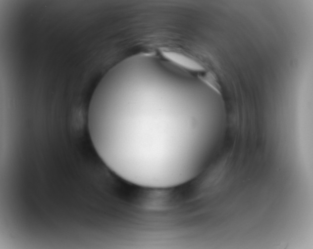 X0000089870081200707191946