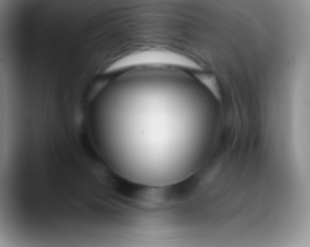 X0000089870084200707191946