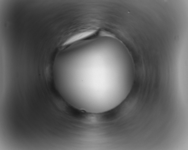 X0000089870088200707191946