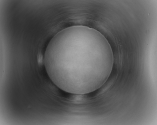 X0000089870089200707191946