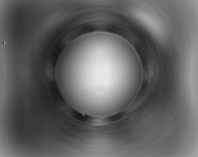 X0000089870093200707191946