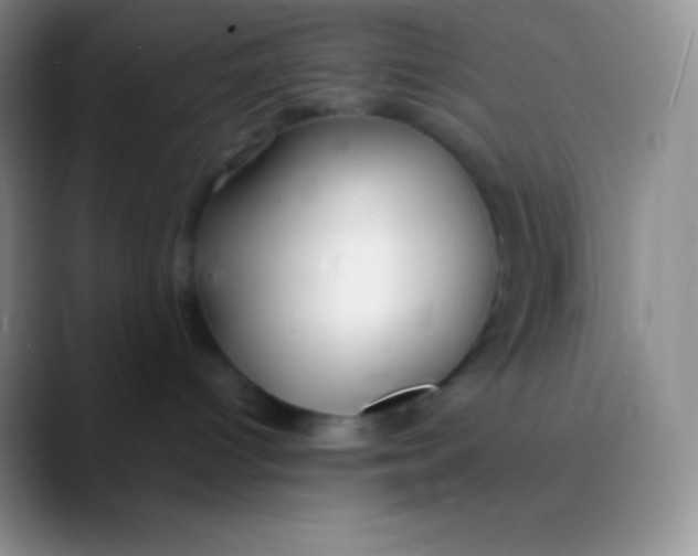 X0000089870096200707191946