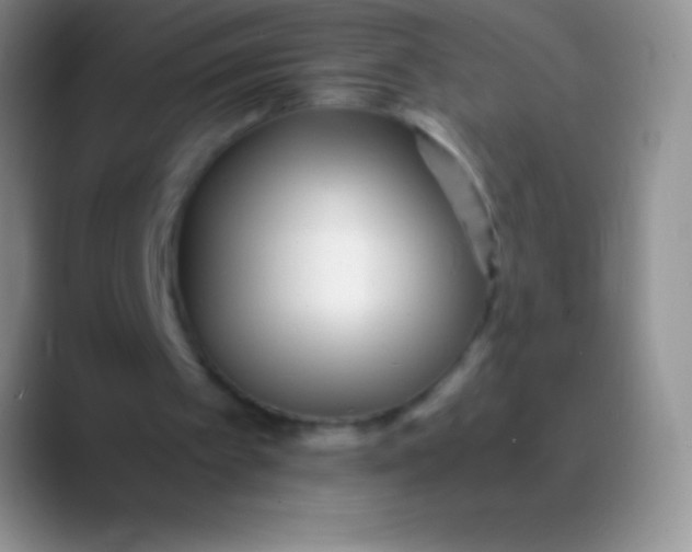 X0000089870097200707191945