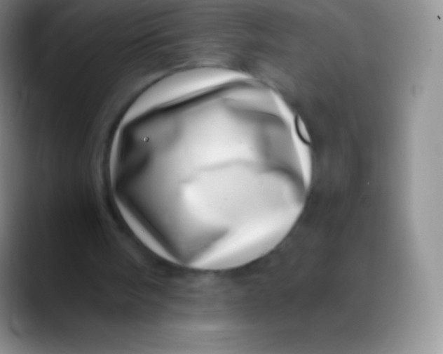 X0000089870098200707191945