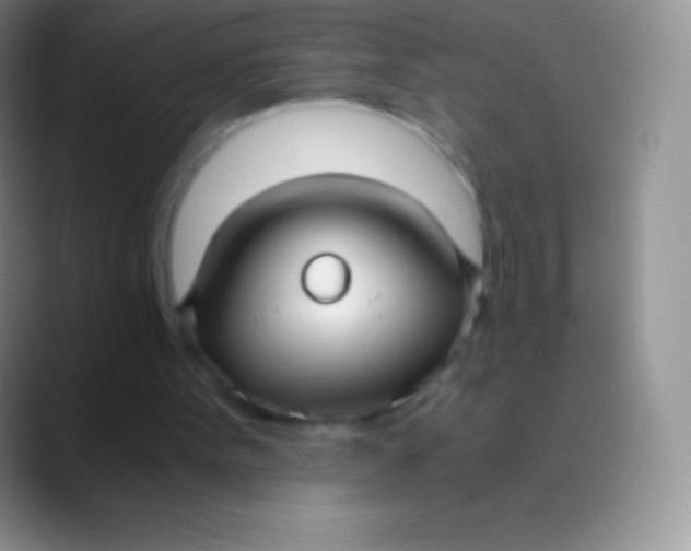 X0000089870099200707191945