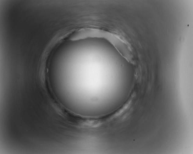 X0000089870101200707191945