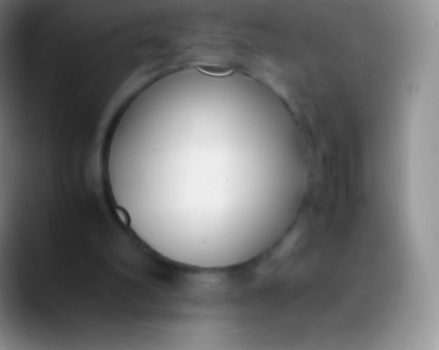 X0000089870102200707191945