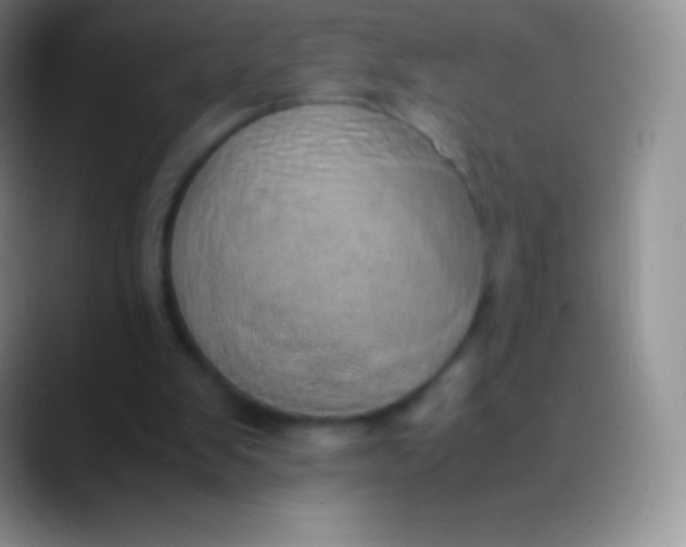 X0000089870103200707191945