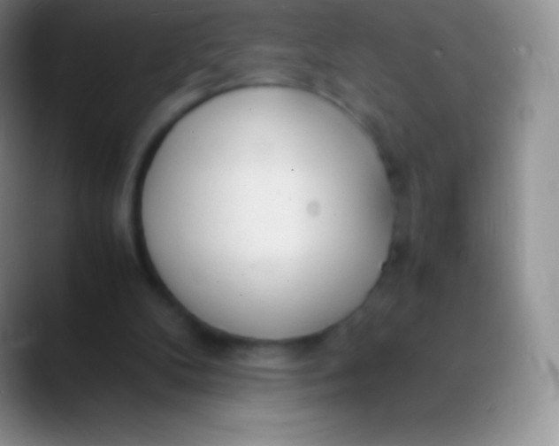 X0000089870104200707191945