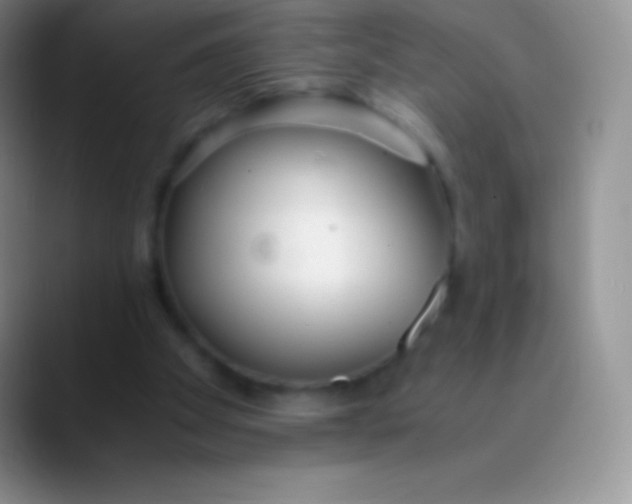 X0000089870105200707191945