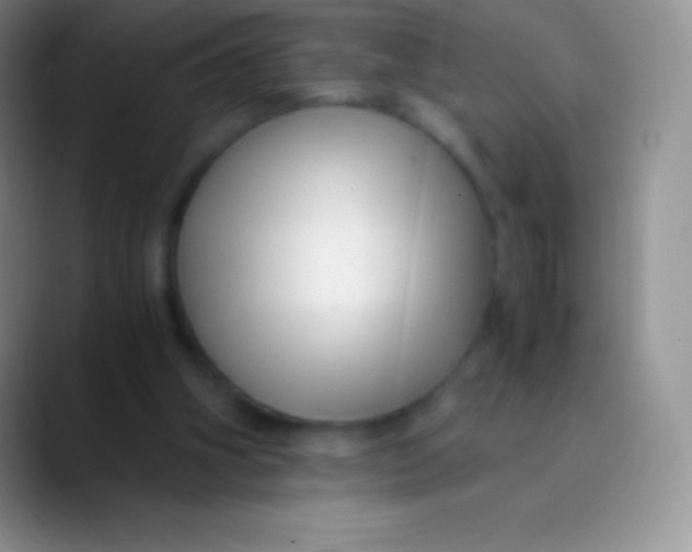 X0000089870106200707191945