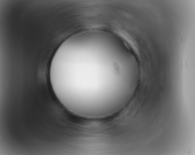 X0000089870107200707191945