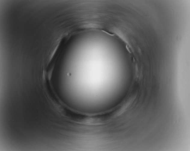 X0000089870109200707191945