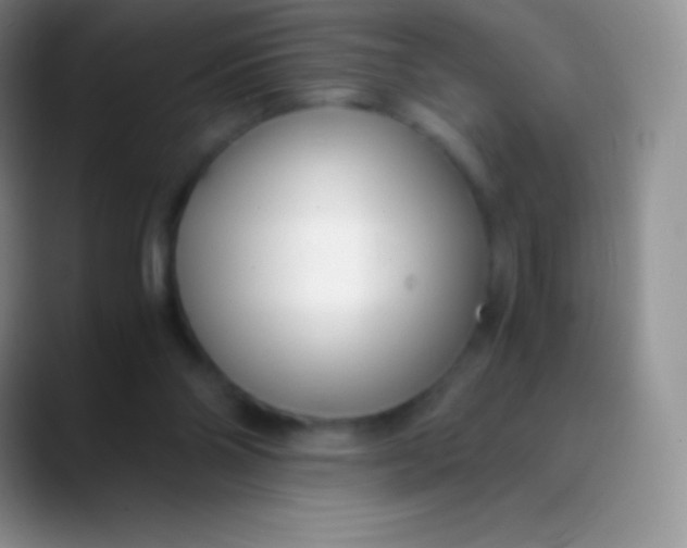 X0000089870110200707191945