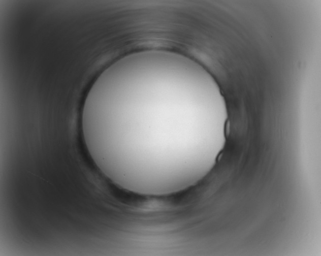 X0000089870111200707191945