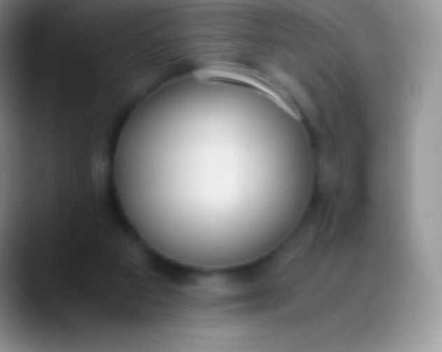 X0000089870113200707191945