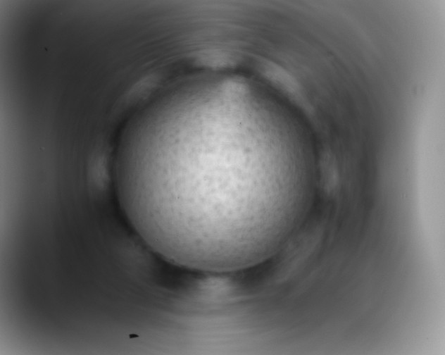 X0000089870114200707191945