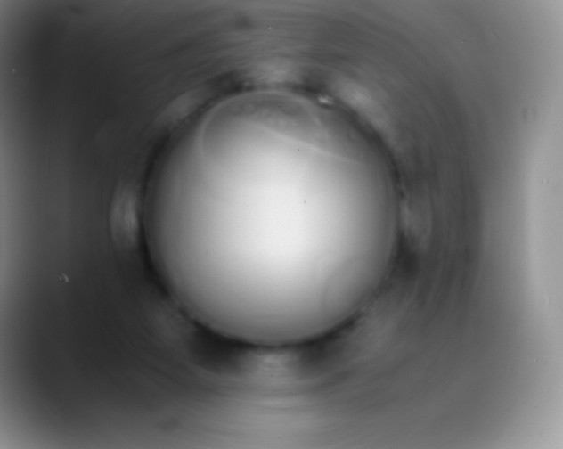 X0000089870115200707191945