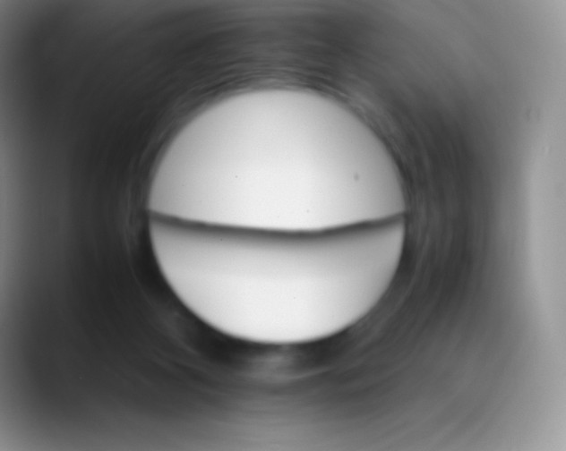 X0000089870116200707191945