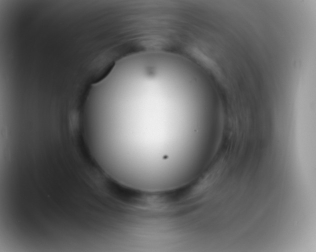 X0000089870117200707191945